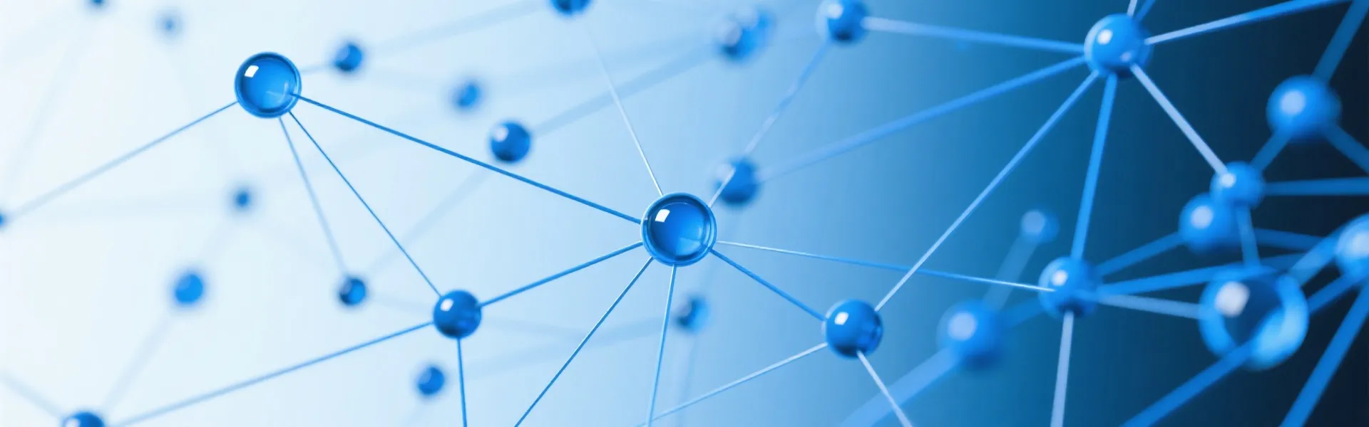 Data Network Background